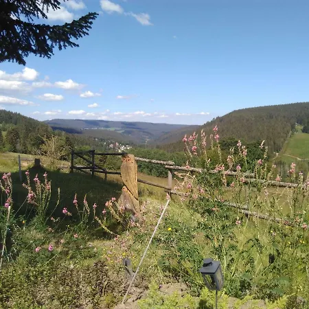 Im Haus Boell Feldberg (Baden-Wurttemberg)